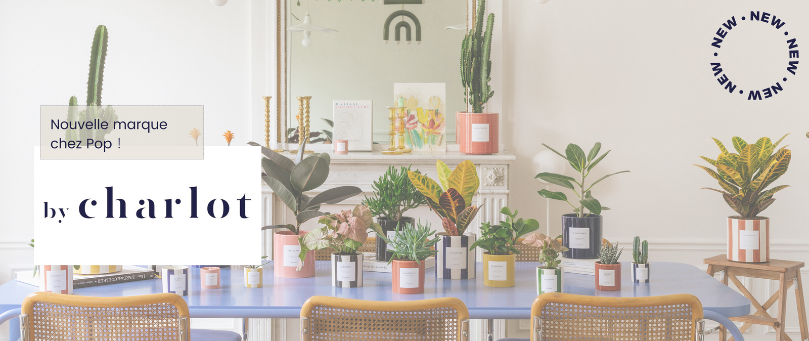 Nouveauté chez Pop : découvrez la marque By Charlot