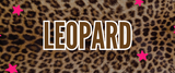 Pop Léopard