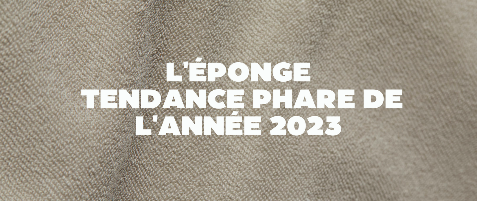 Focus : La matière éponge