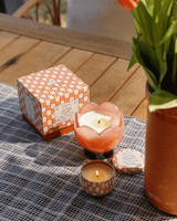 Bougie tulip paddywax