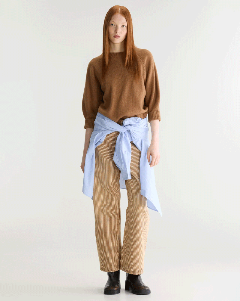 Pull ameil