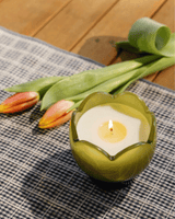 Bougie tulip paddywax