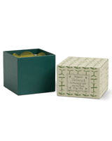Bougie tulip paddywax