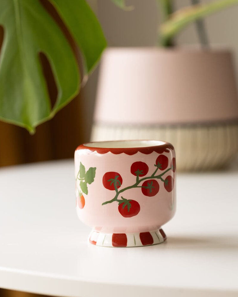 Bougie tomato vine paddywax