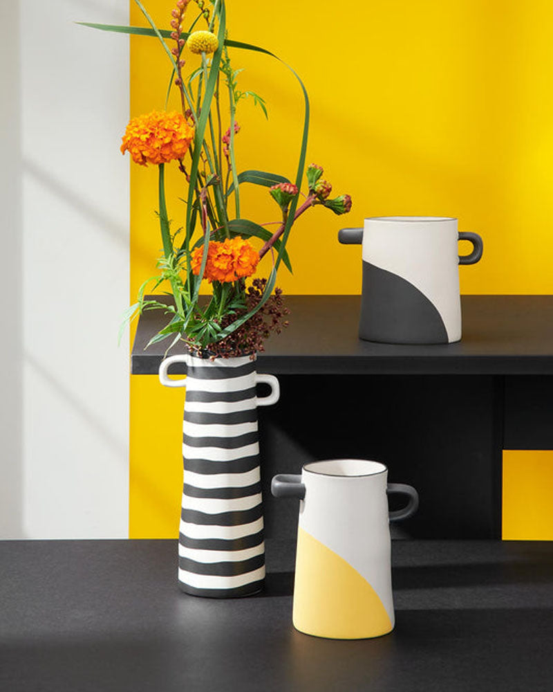 Vase raye asa selection