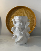 Vase poisson opjet