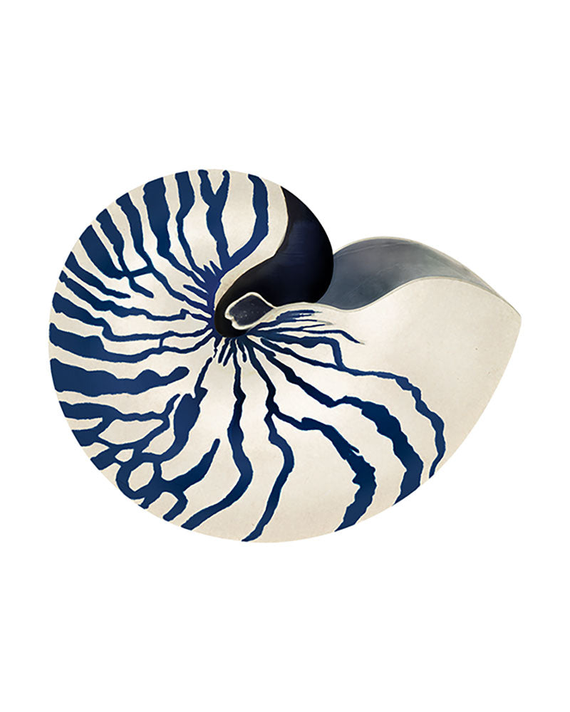 Arts de la table PODEVACHE - Lot de 6 sous-verre coquillage podevache