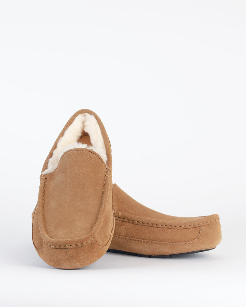 Chaussons &amp; pantoufles UGG MEN - Chausson ascot ugg men