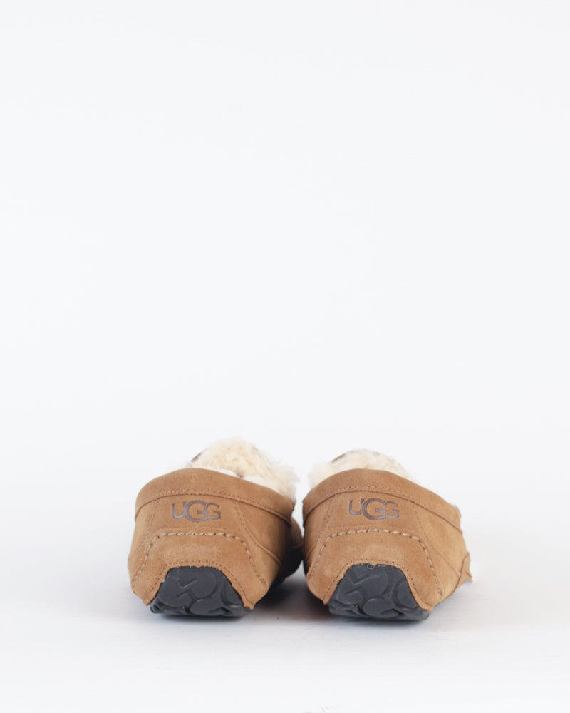 Chaussons & pantoufles UGG MEN - Chausson ascot ugg men