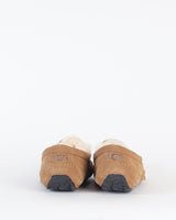 Chaussons & pantoufles UGG MEN - Chausson ascot ugg men