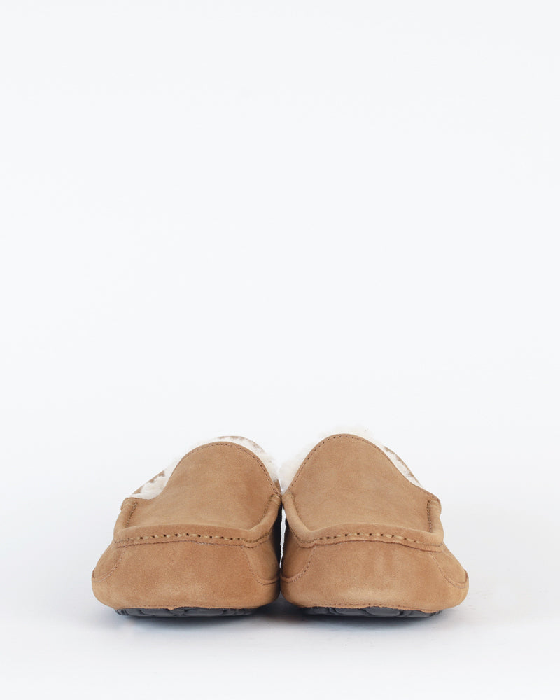 Chaussons &amp; pantoufles UGG MEN - Chausson ascot ugg men