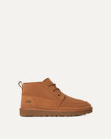 Derbies neumel