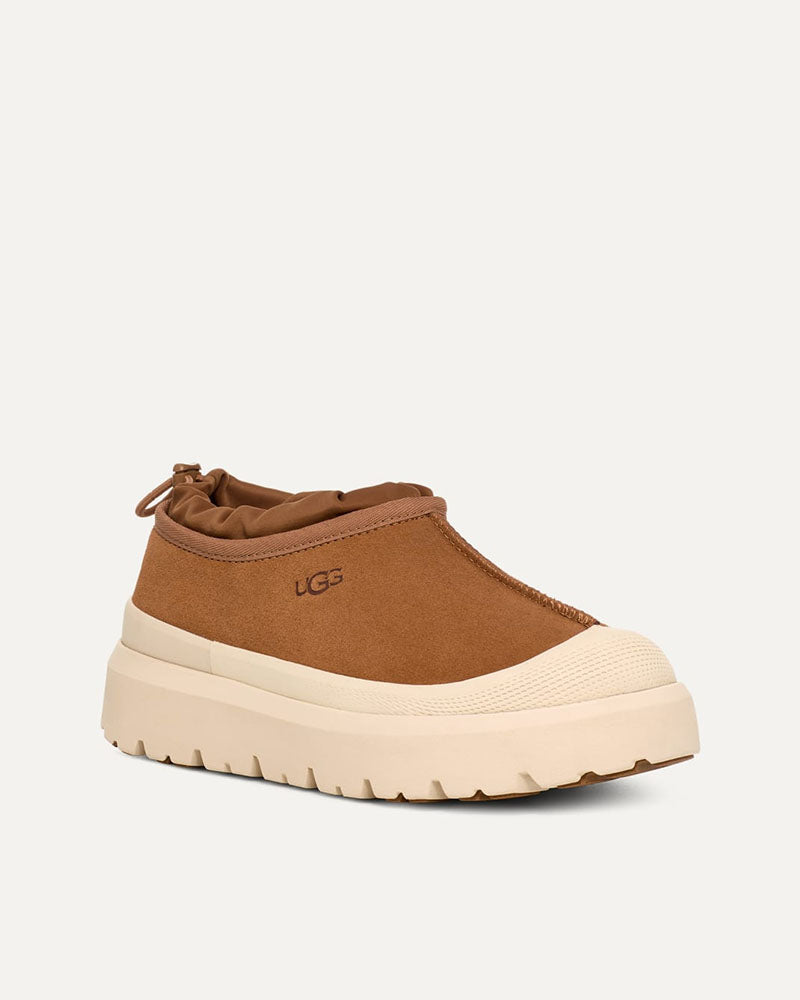 Chauss tasman weather hybrid ugg men