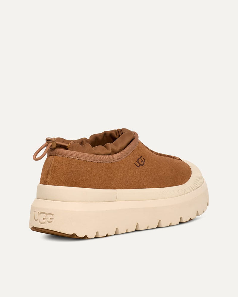 Chauss tasman weather hybrid ugg men
