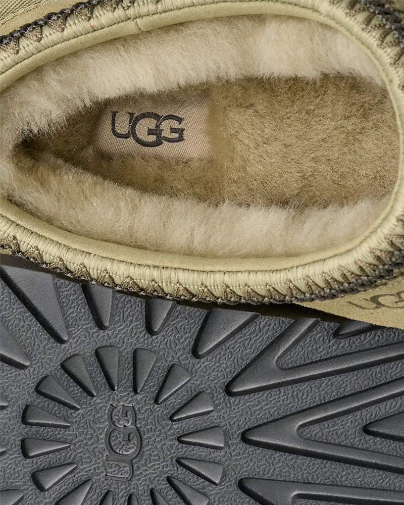 tasman ugg men