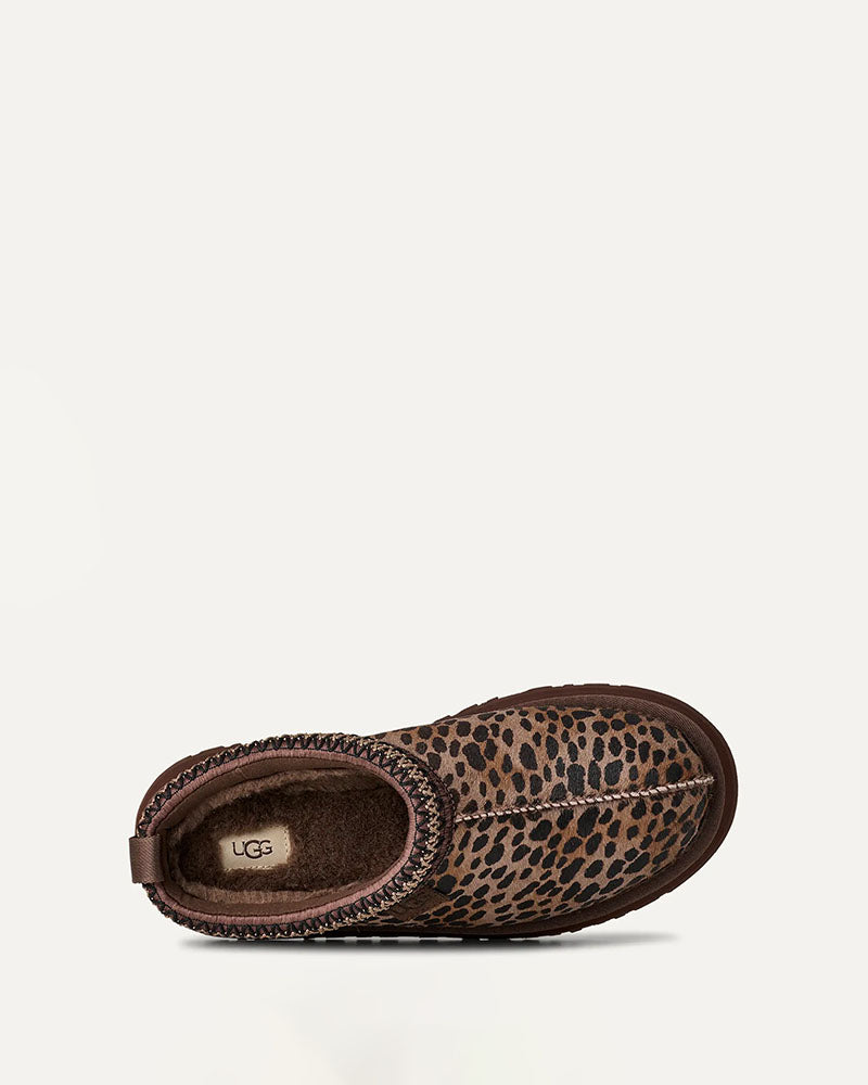 Sabot tazz ugg