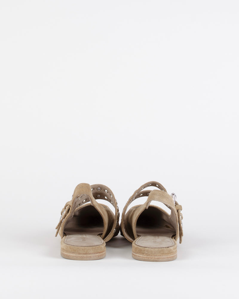 Ballerines kennel and schmenger