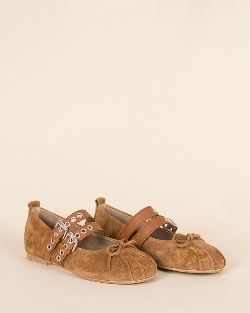 Ballerines kennel and schmenger
