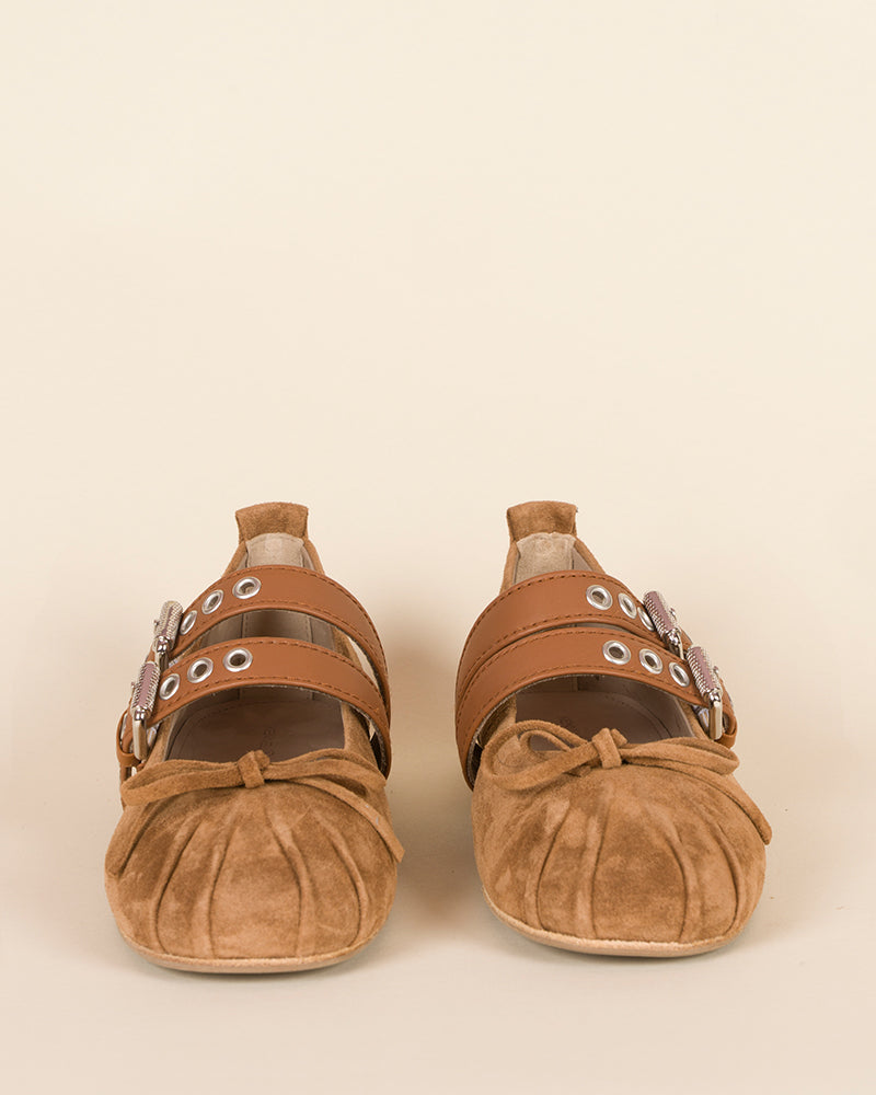 Ballerines kennel and schmenger