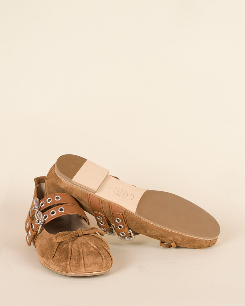 Ballerines kennel and schmenger