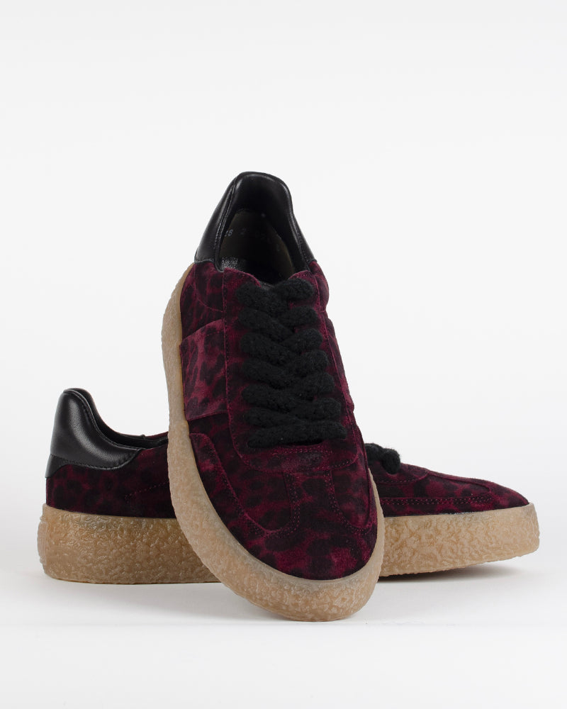 Baskets kennel and schmenger