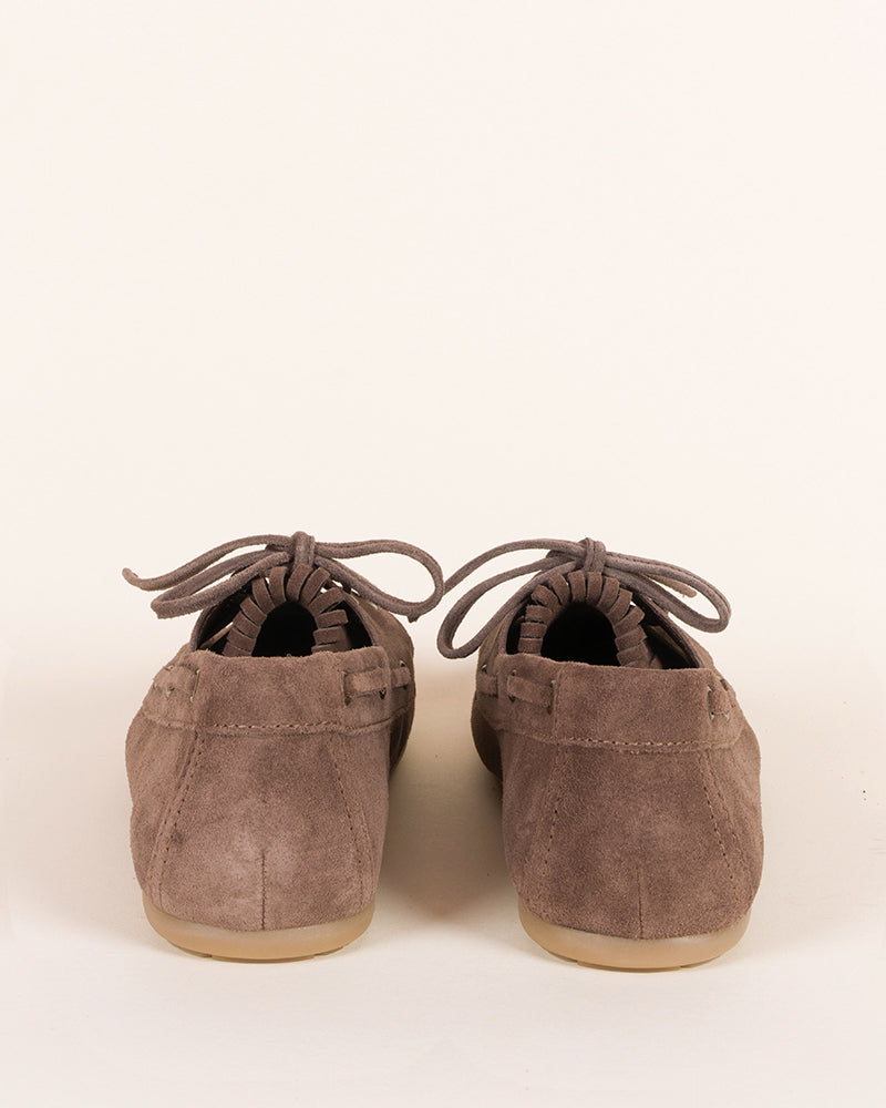 Mocassins kennel and schmenger