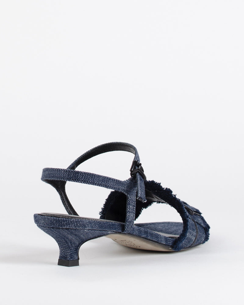 Sandale kennel and schmenger