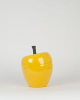 Seau a glacons pomme mm