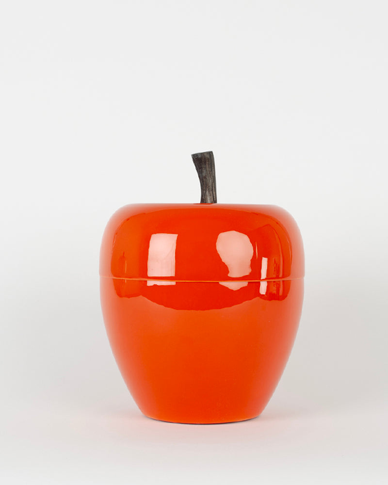 Seau a glacons pomme mm