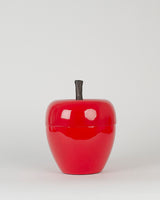 Seau a glacons pomme mm