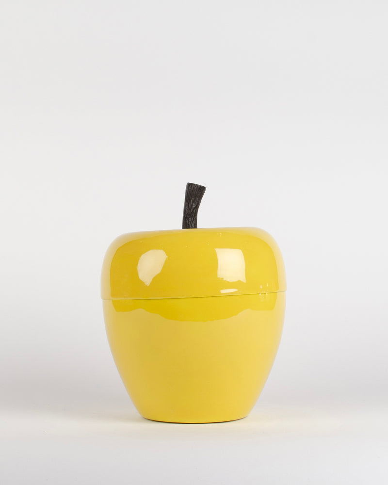 Seau a glacons pomme mm