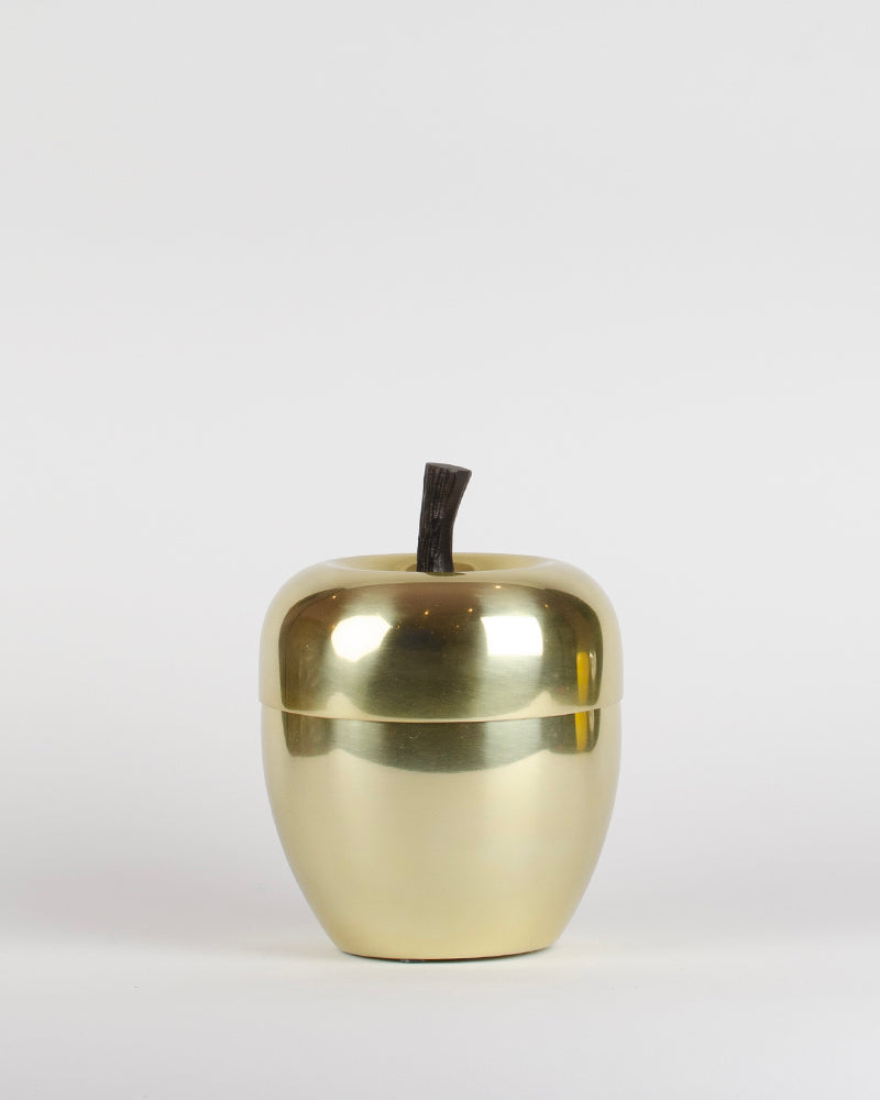 Seau a glacons pomme pm
