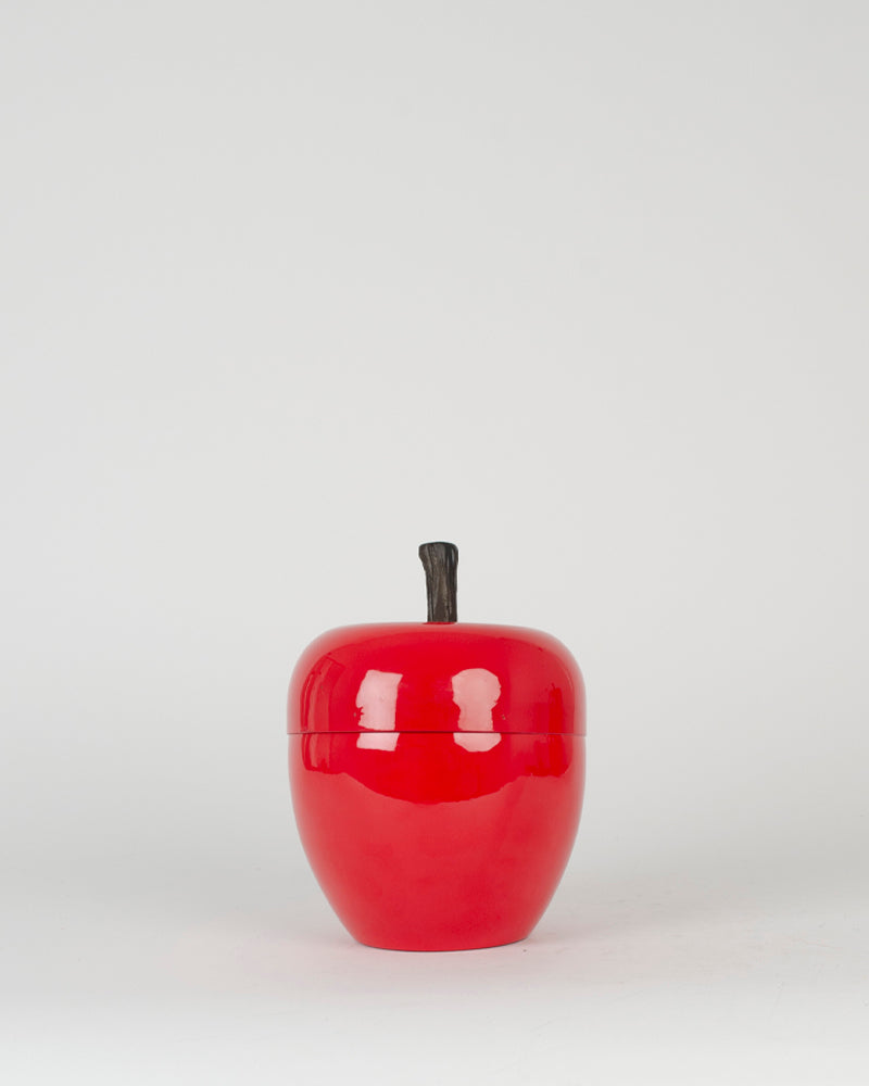 Seau a glacons pomme pm