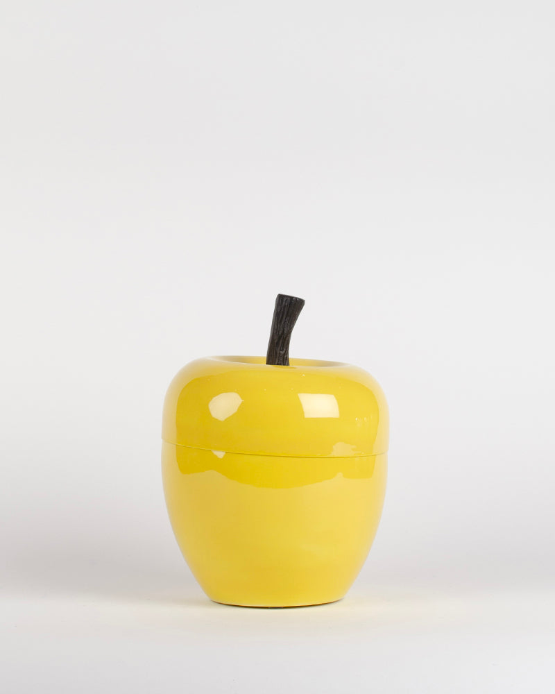 Seau a glacons bazar de luxe