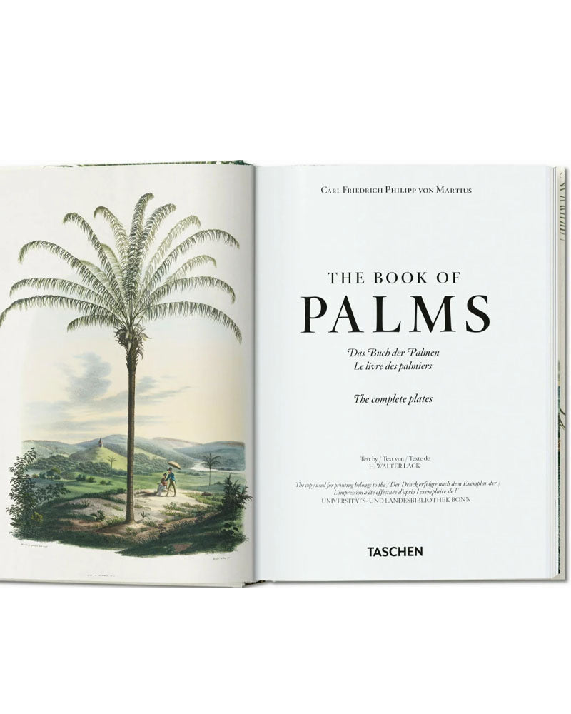 Livres TASCHEN - Thebook of palms taschen