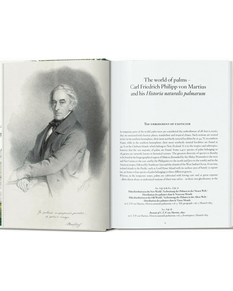 Livres TASCHEN - Thebook of palms taschen