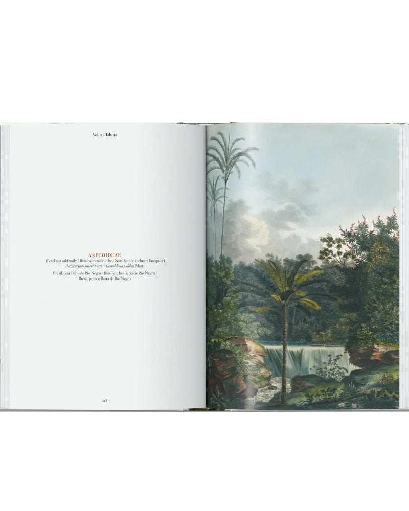 Livres TASCHEN - Thebook of palms taschen