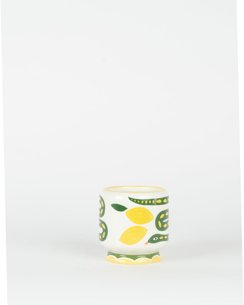Bougie wild lemongrass paddywax