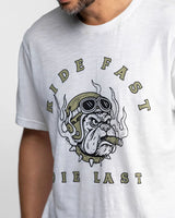 Tee shirt alabaster