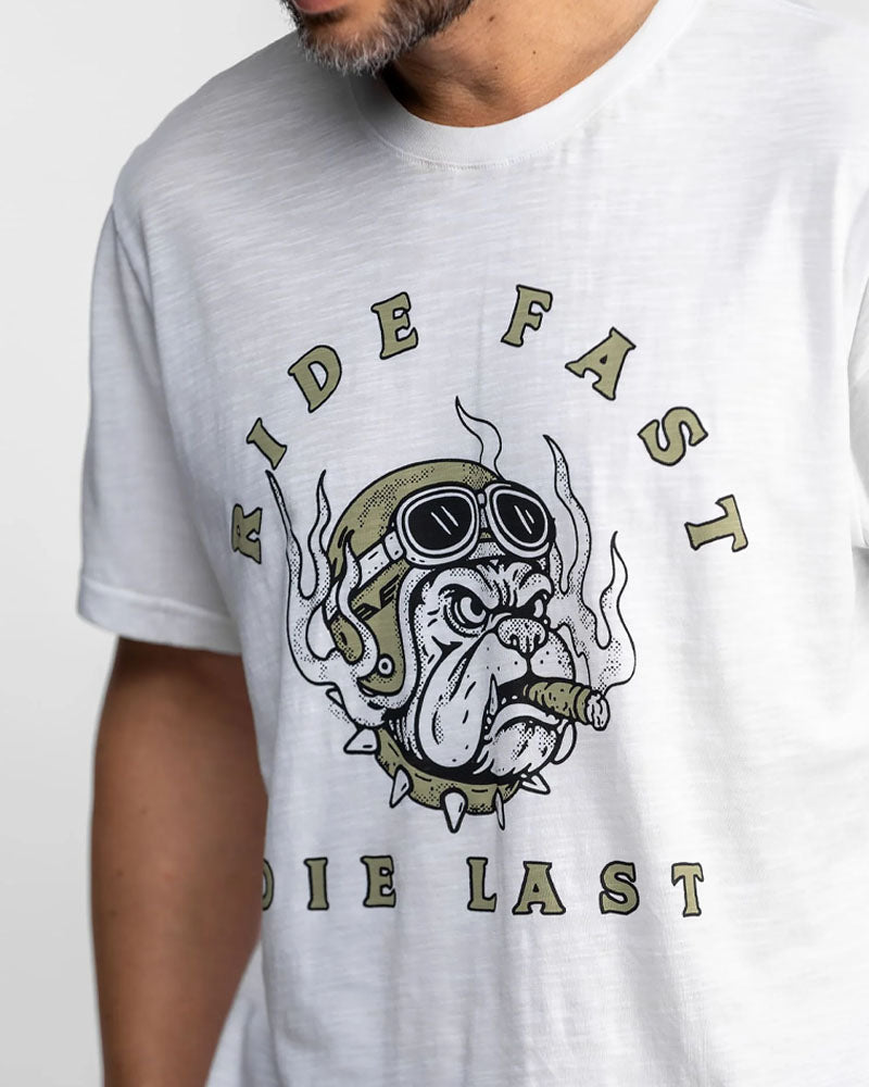 Tee shirt alabaster
