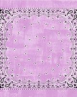 Echarpes & Foulards DESTIN - Foulard destin