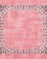 Echarpes & Foulards DESTIN - Foulard destin