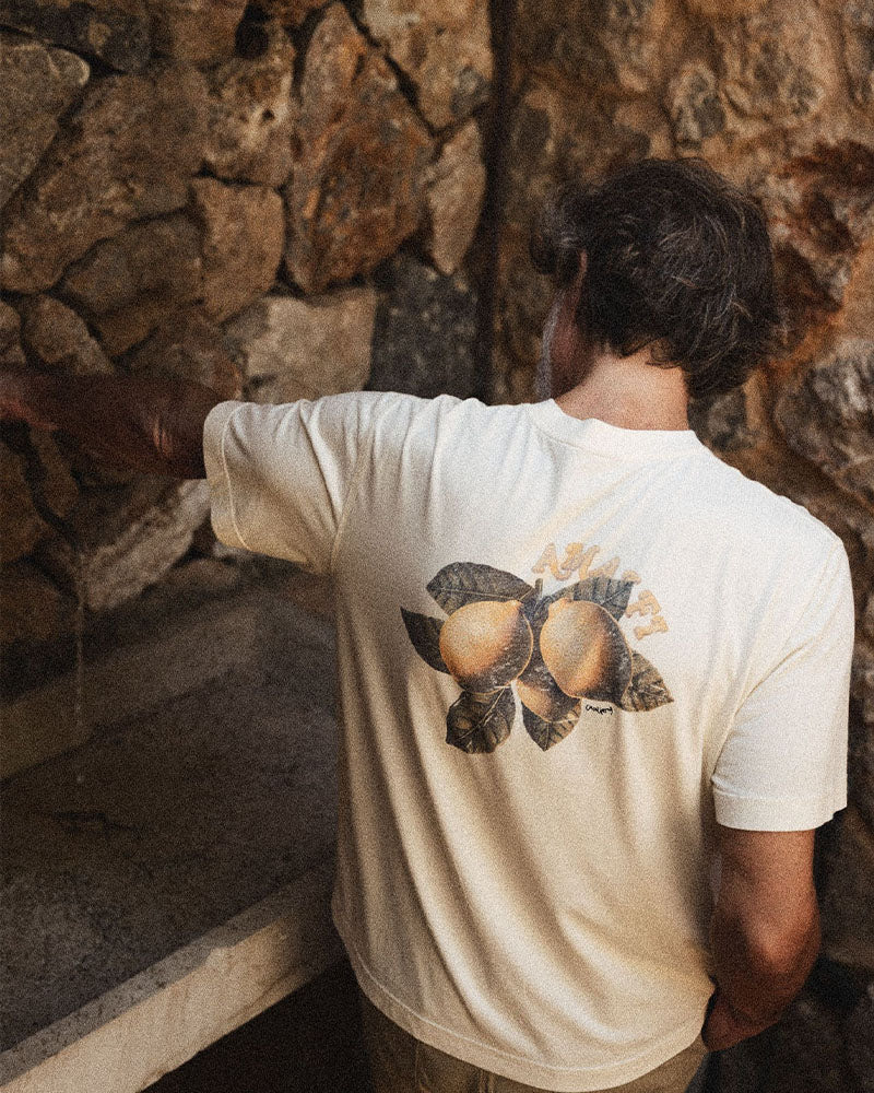 Tee shirt mos gallery