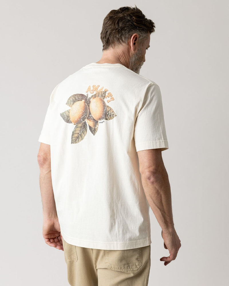 Tee shirt mos gallery
