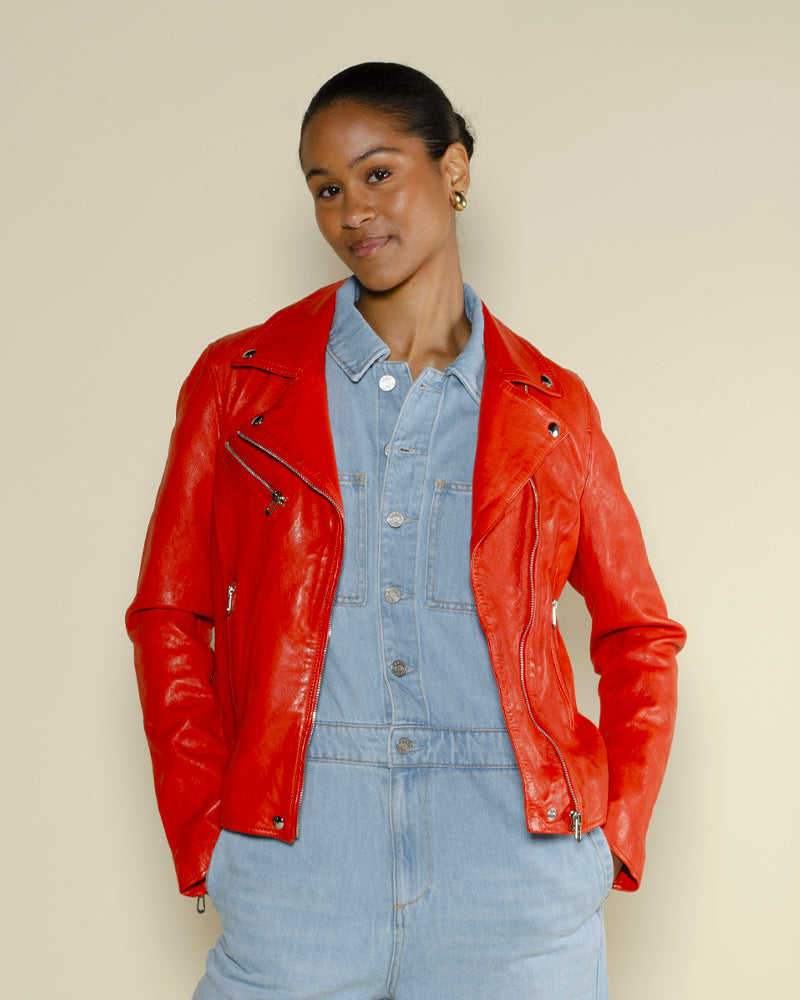 Perfecto rose garden