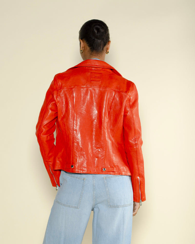 Perfecto rose garden