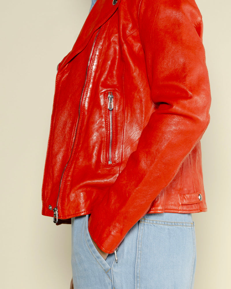 Perfecto rose garden