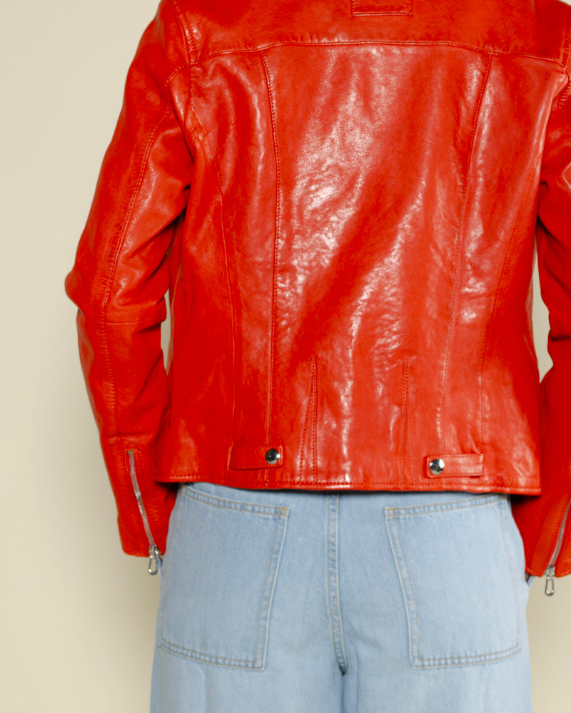 Perfecto rose garden