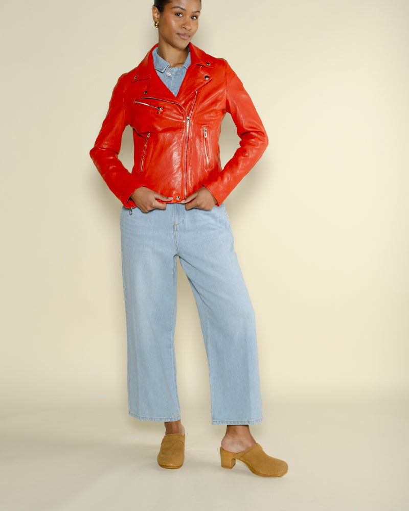 Perfecto rose garden