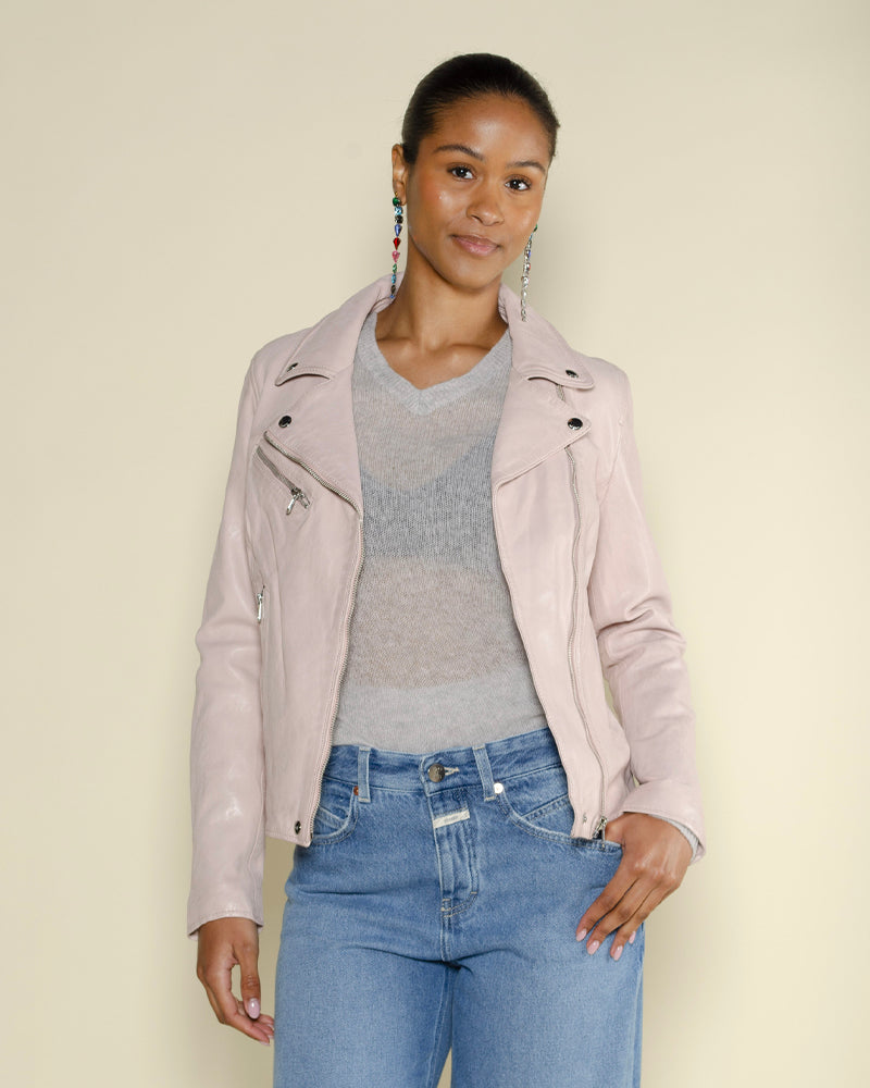 Perfecto rose garden